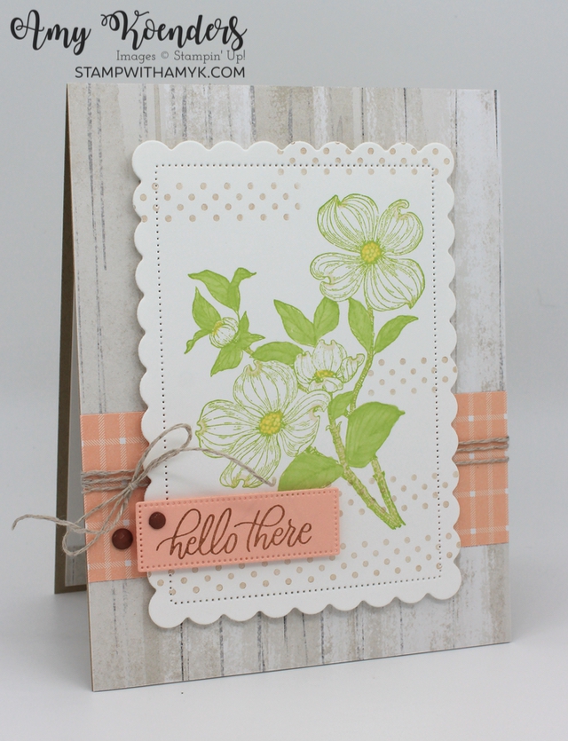 Stampin' Up! Detailed Dogwood Hello Card With Video Tutorial – Stamp With  Amy K