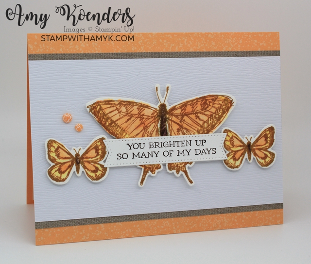 Stampin’ Up! Sketched Butterfly Thank You Card With Video Tutorial ...
